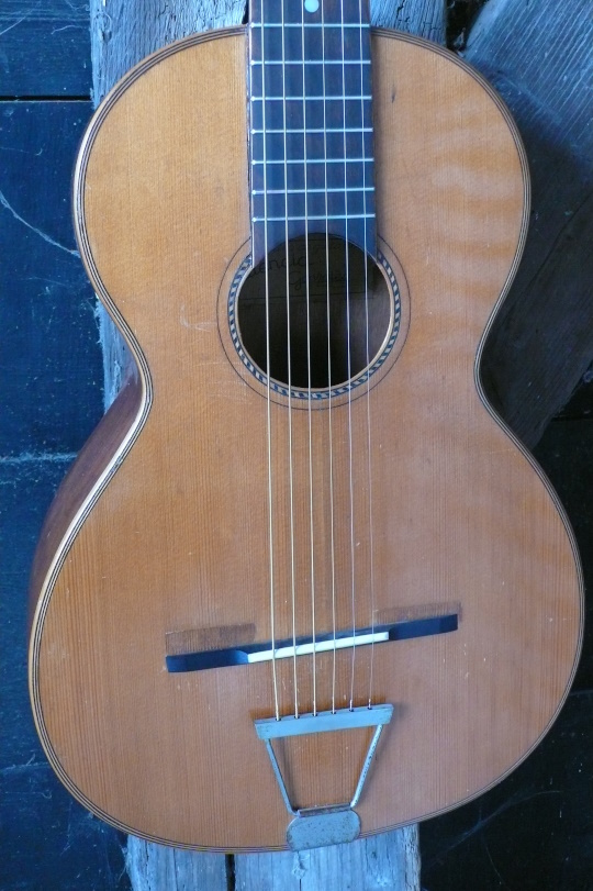 spruce top