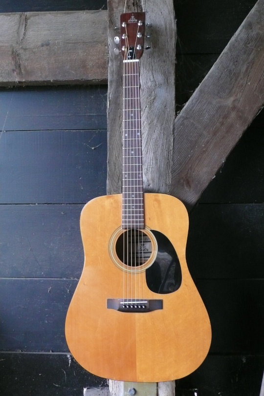 Takeharu WK100 dreadnought gitaar