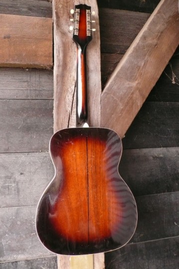 mahonie sunburst back