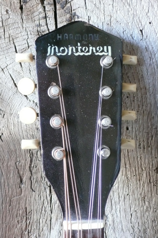 kop met Monterey Harmony logo
